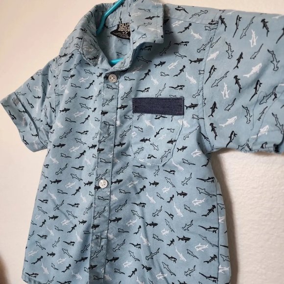 Shark Lover? - Picture 3 of 4